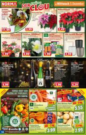 Norma Prospekt woche 49 Seite 14