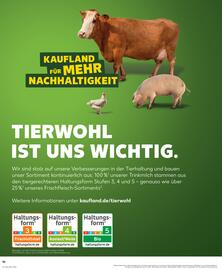 Kaufland DE folder week 48 Pagina 36