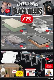 ROLLER Prospekt woche 48 Seite 13