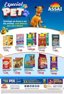 Encarte Assaí Atacadista (válido até 23-11)