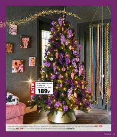 Intratuin folder week 48 Pagina 5