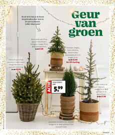 Intratuin folder week 48 Pagina 7