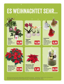 Feneberg Prospekt Seite 14