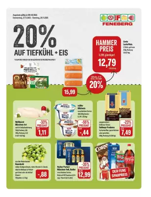 Feneberg Prospekt (gültig bis 29-11)