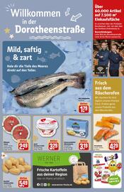 REWE Center Prospekt woche 48 Seite 37