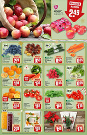 REWE Prospekt woche 48 Seite 12