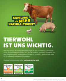 Kaufland Prospekt woche 48 Seite 36