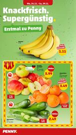 PENNY DE folder week 48 Pagina 2