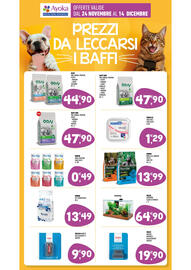 Volantino Ayoka Pagina 15