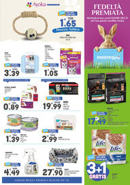 Volantino Ayoka Pagina 3