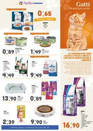 Volantino Ayoka Pagina 5
