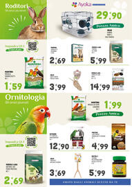 Volantino Ayoka Pagina 6