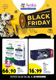 Volantino Ayoka Pagina 9