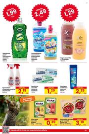 Volantino Despar Pagina 23