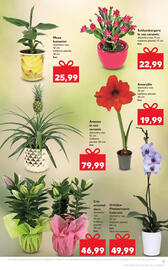 Catalog Kaufland Pagină 9