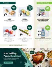 Blush Lane Organics flyer Page 2