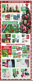 Dollar General weekly ad week 48 Page 13