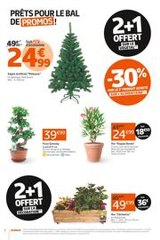 Catalogue Jardiland semaine 48 page 2