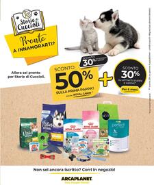 Volantino Arcaplanet settimana 48 Pagina 31