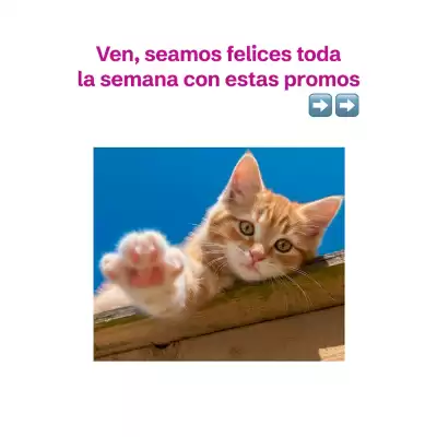 Catálogo Tambo (válido hasta 3-12)