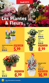 Catalogue Lidl page 38