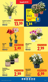 Catalogue Lidl page 39
