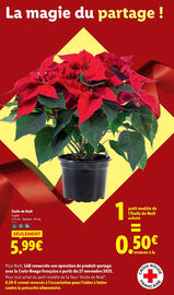 Catalogue Lidl page 41