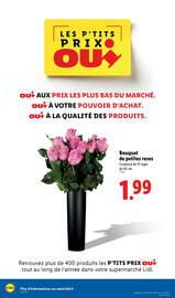 Catalogue Lidl page 42