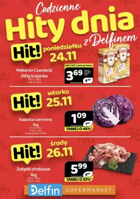 Delfin gazetka (ważność do 26-11)