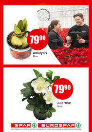 Eurospar kundeavis uke 48 Side 12