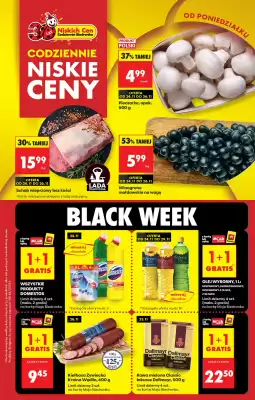 Biedronka gazetka (ważność do 29-11)