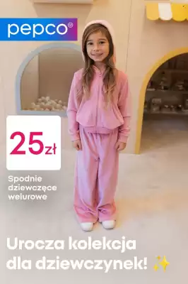 Pepco gazetka (ważność do 1-12)