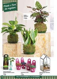 Volantino Il Gigante Pagina 22