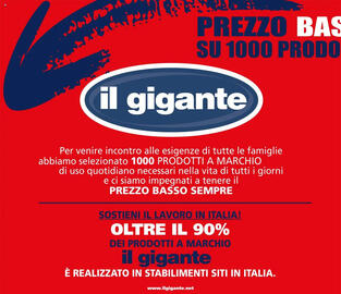 Volantino Il Gigante Pagina 2