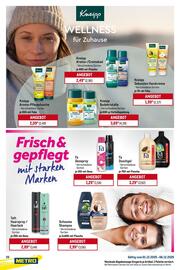 METRO Prospekt woche 49 Seite 20