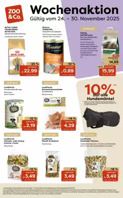 Zoo & Co Prospekt (gültig bis 1-12)