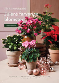 Plantorama tilbudsavis Side 11