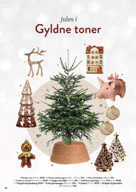 Plantorama tilbudsavis Side 19