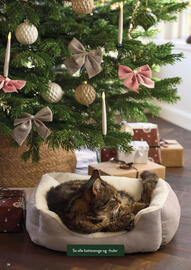 Plantorama tilbudsavis Side 25