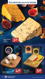 Folleto ALDI | Celebra cada día Página 22