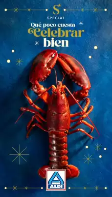 Folleto ALDI (válido hasta el 25-12)
