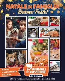 Volantino Il Gigante Pagina 1