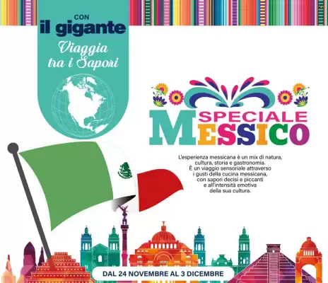 Volantino Il Gigante (valido fino al 3-12)