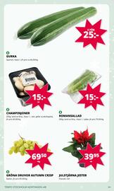 Tempo reklamblad vecka 48 Sida 3