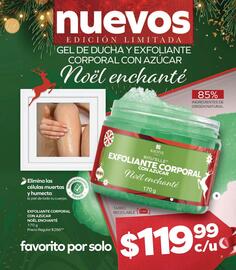 Catálogo Stanhome Página 11