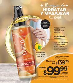 Catálogo Stanhome Página 65