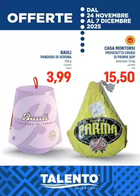 Volantino Talento Professional Store (valido fino al 7-12)