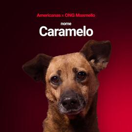 Encarte Lojas Americanas Página 5