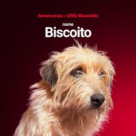 Encarte Lojas Americanas Página 8