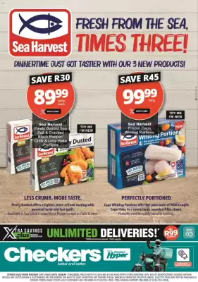 Checkers catalogue (valid until 11-01)